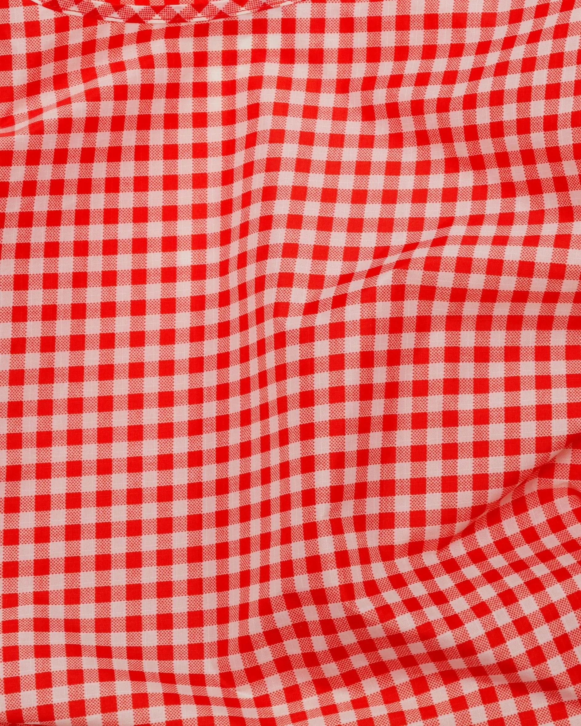 Standard Baggu - Red Gingham